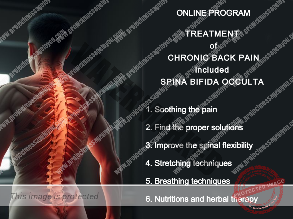 Chronic Back Pain - self-treatment online program - A Project Message ...